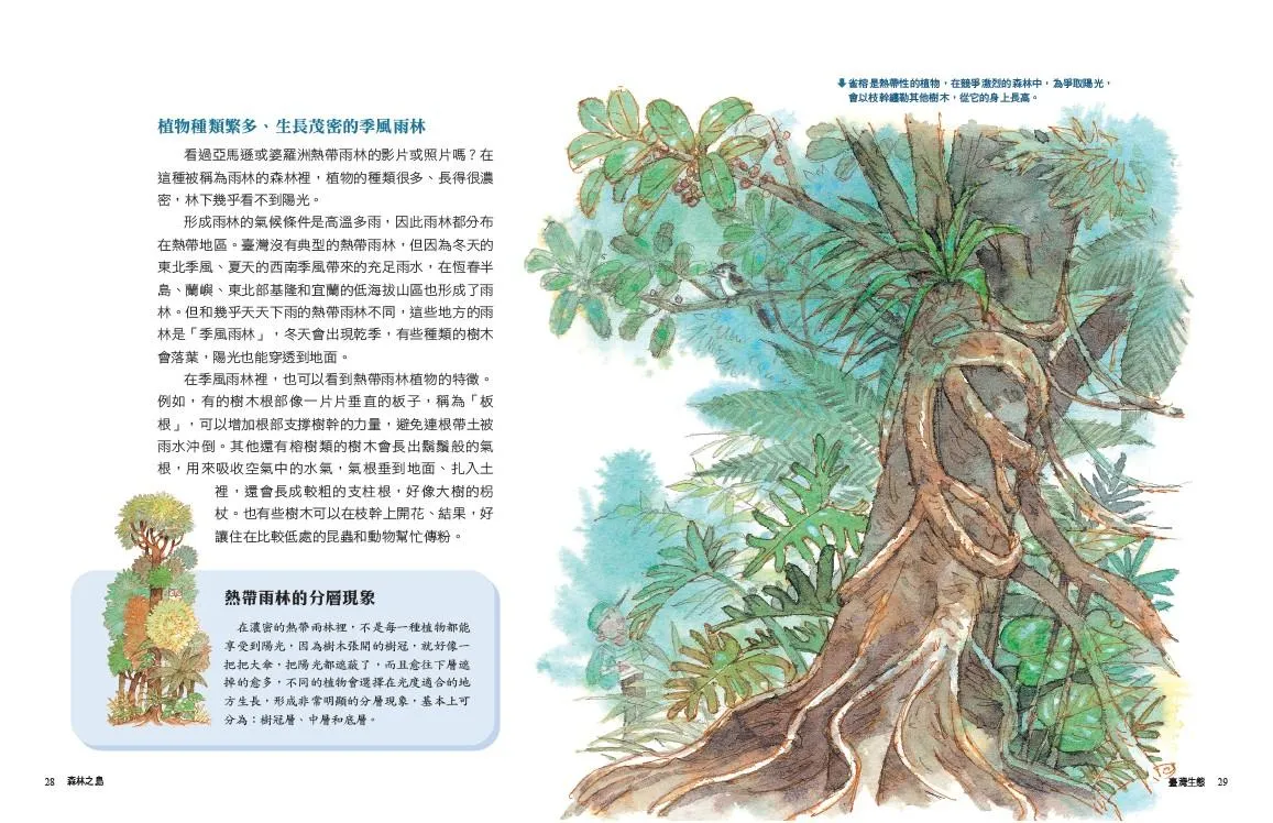 少年讀臺灣:認識歷史、地理與生態(全套3冊)