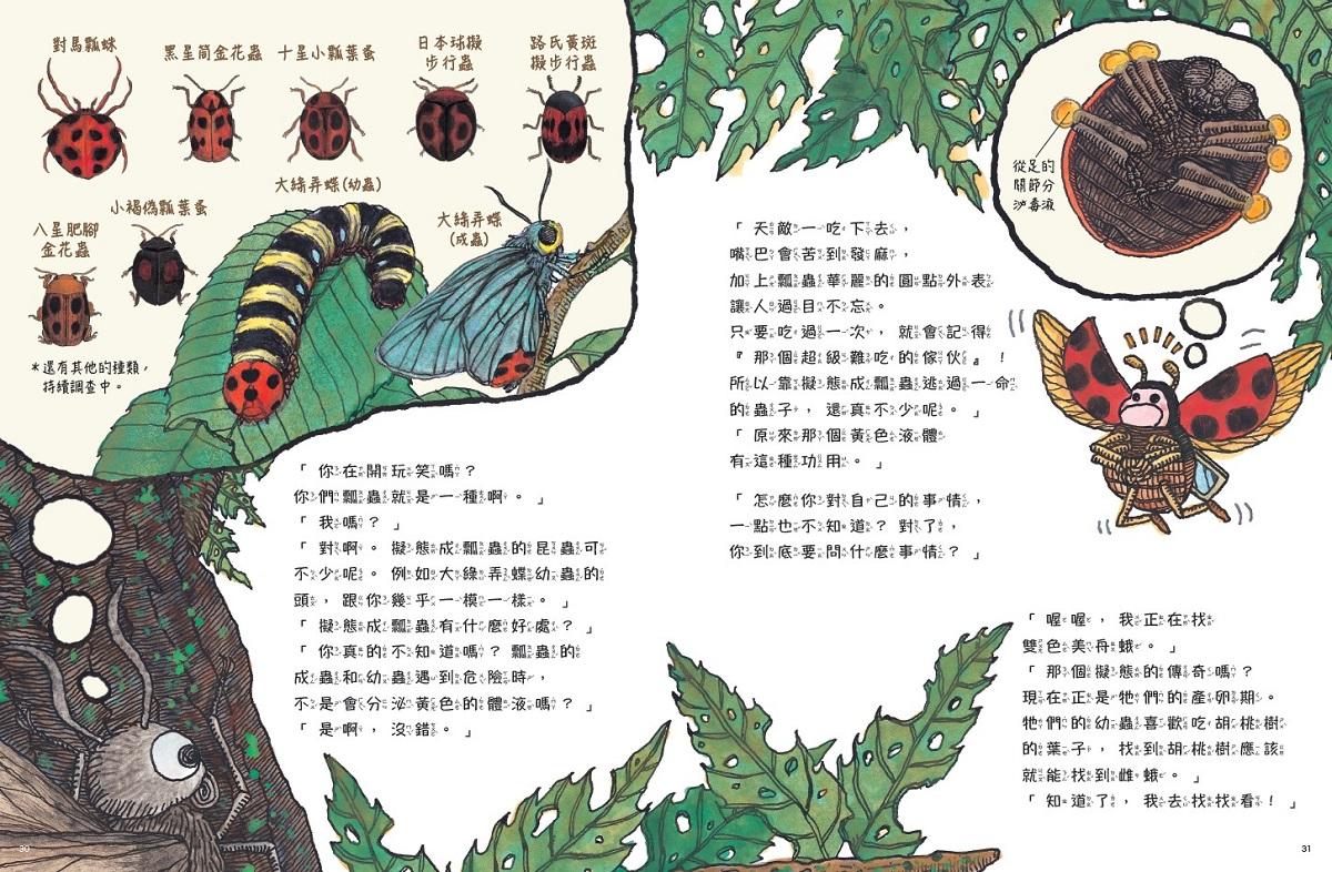 蟲蟲週刊特別報導 誰才是擬態高手?