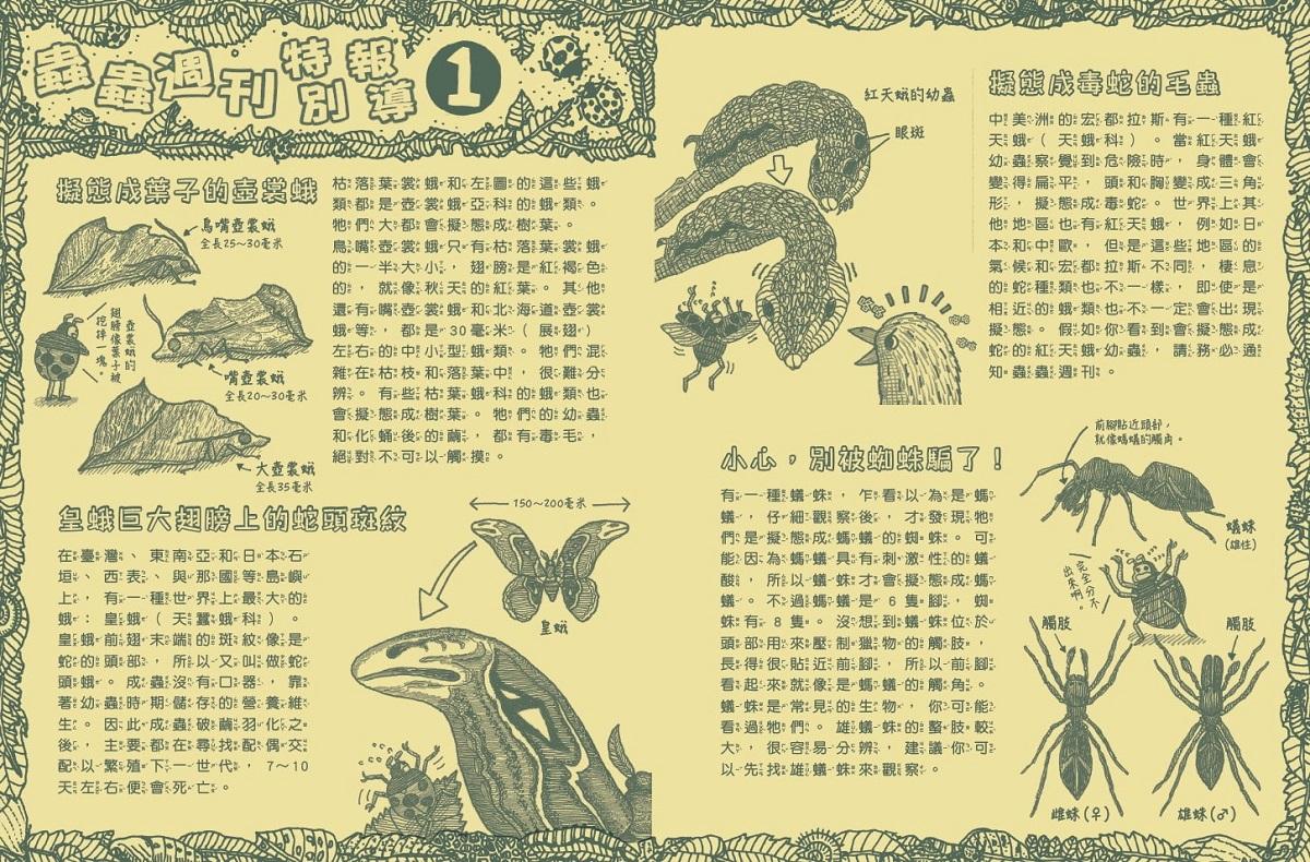 蟲蟲週刊特別報導 誰才是擬態高手?