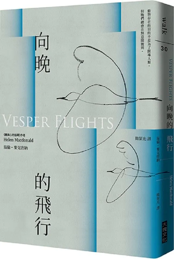 向晚的飛行