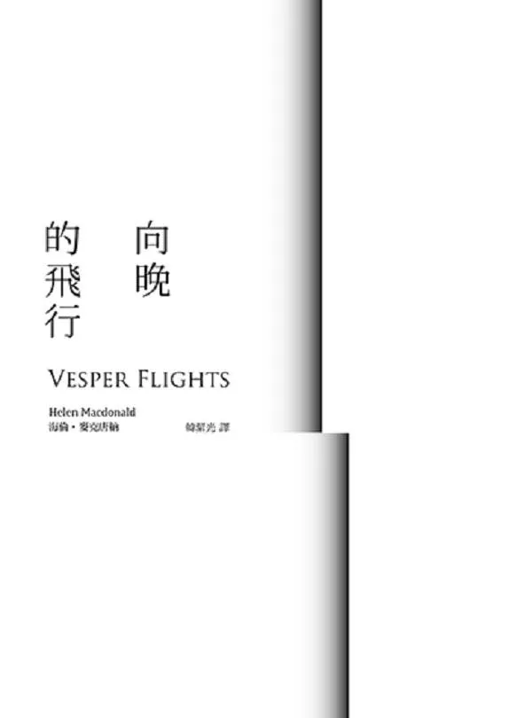 向晚的飛行