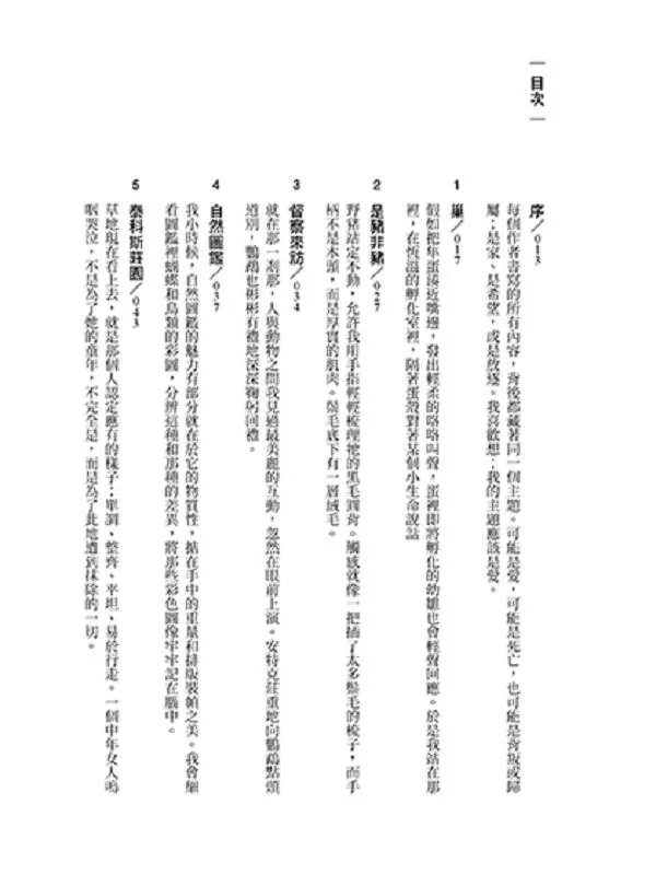 向晚的飛行