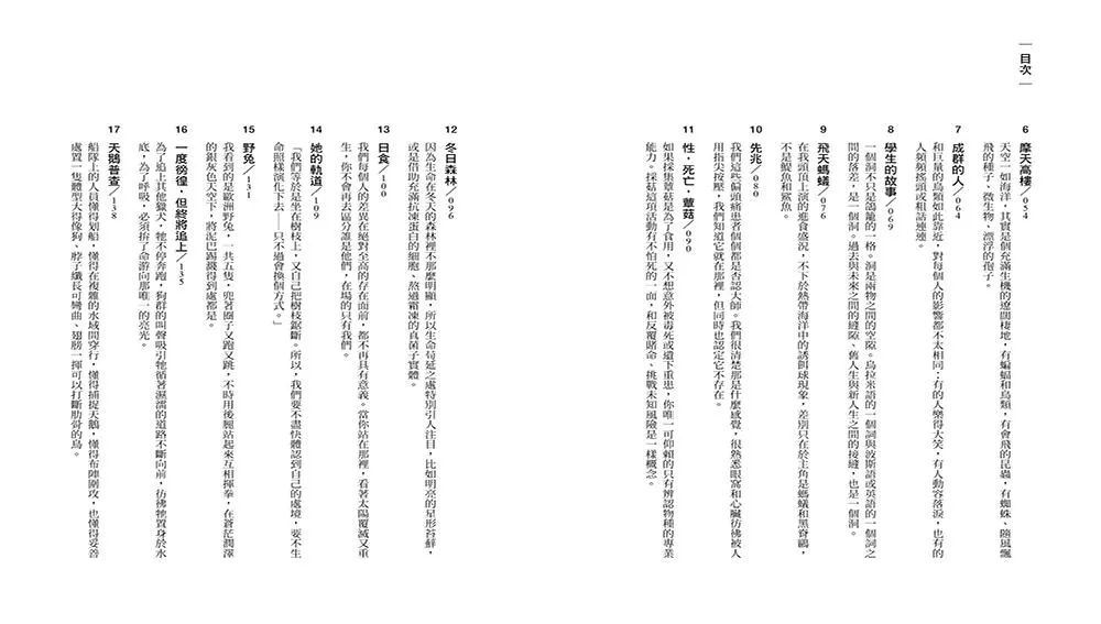 向晚的飛行