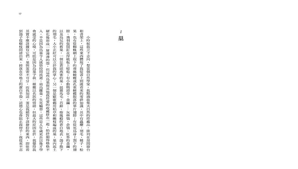 向晚的飛行