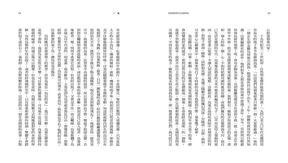 向晚的飛行