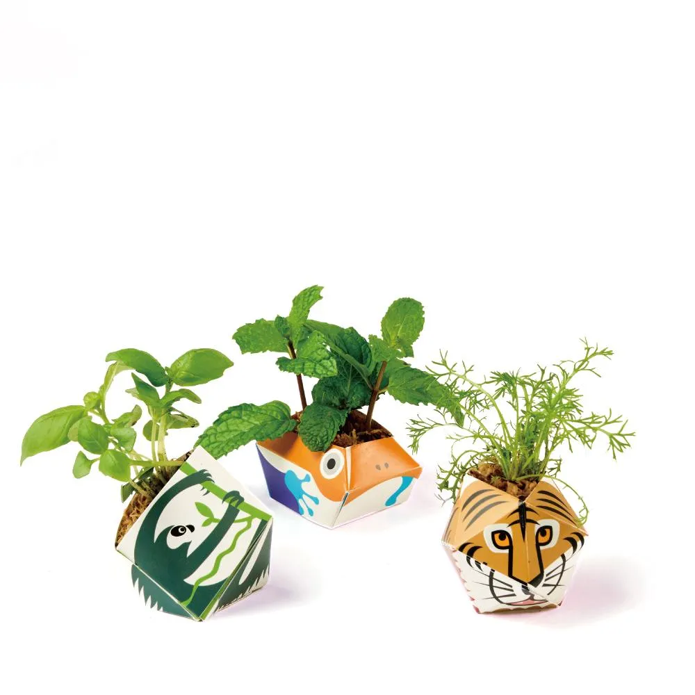 OriBon摺紙盆栽組合：孟加拉虎／樹懶／金色箭毒蛙