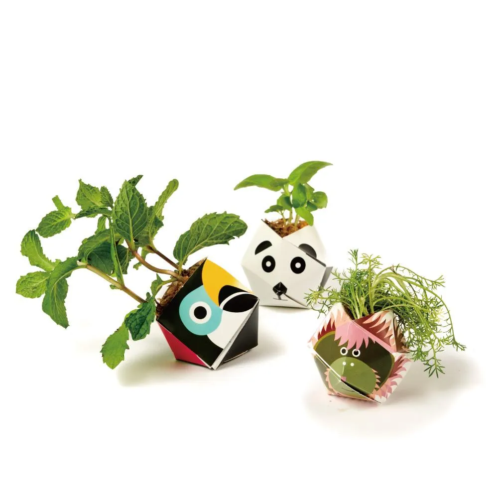 OriBon摺紙盆栽組合：大嘴鳥／大貓熊／大猩猩