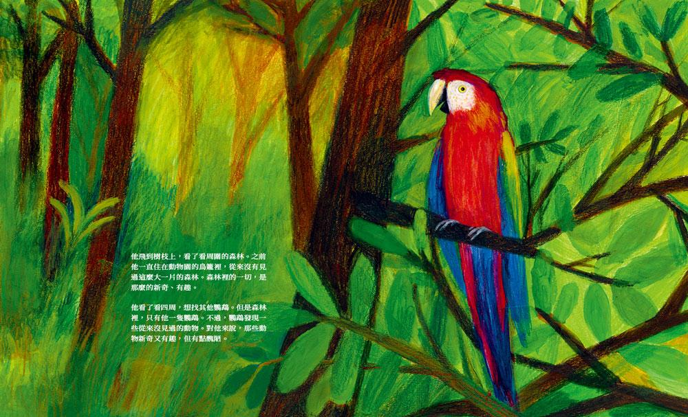 愛嘲笑別人的鸚鵡