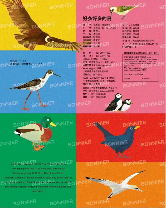 好多好多的鳥