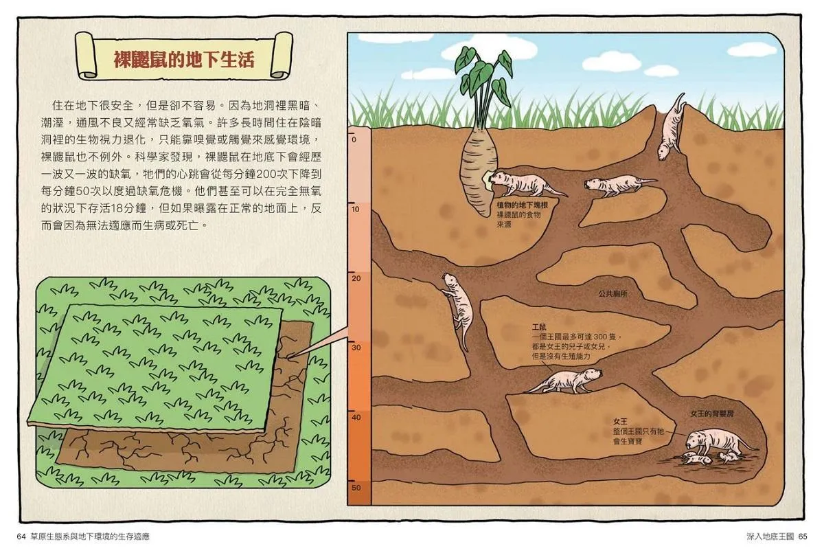 達克比辦案 14:莽原生死鬥:草原生態系與地下環境的生存適應