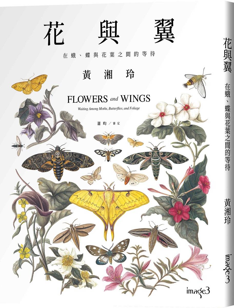 花與翼：在蛾、蝶與花葉之間的等待