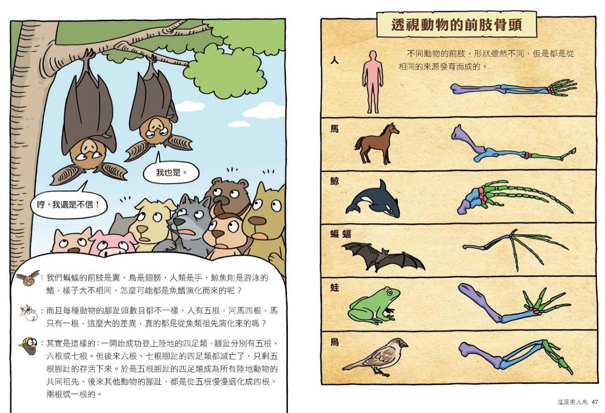 達克比辦案 10:鬼屋美人魚