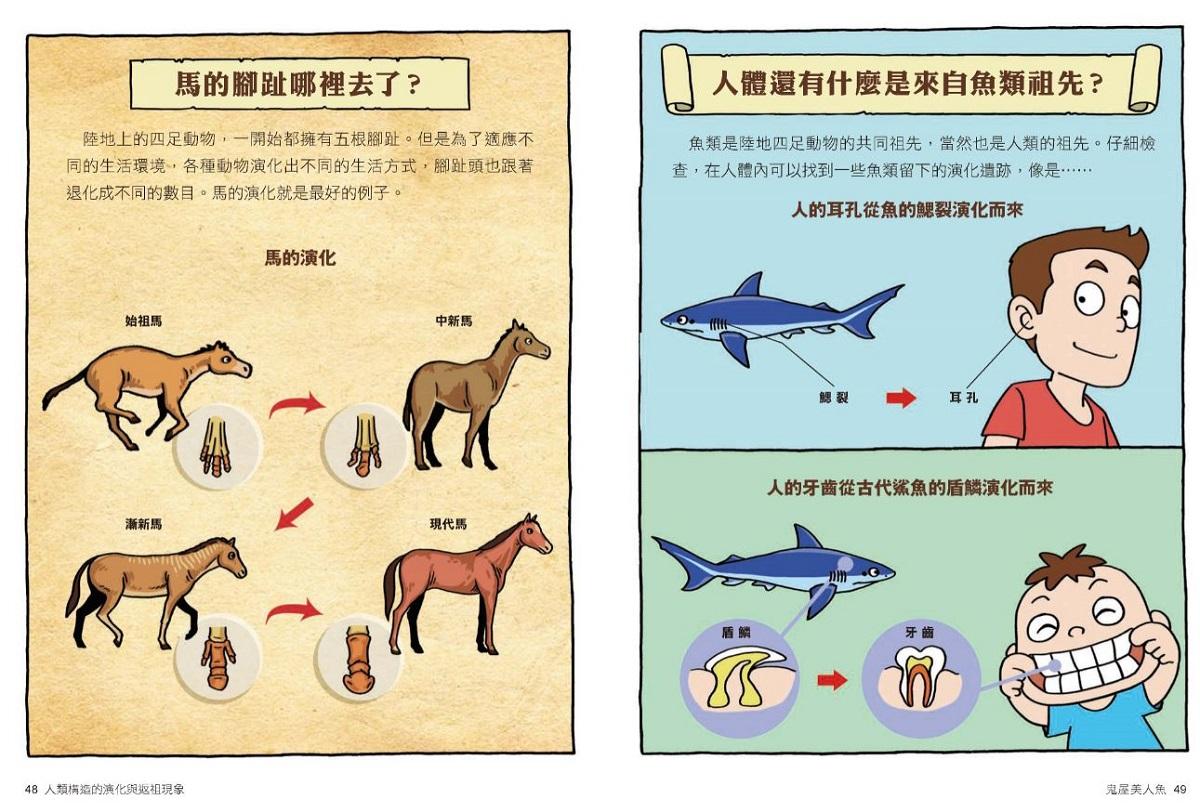 達克比辦案 10:鬼屋美人魚