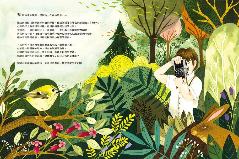 養一隻喜歡的狐狸,或是放她走?
