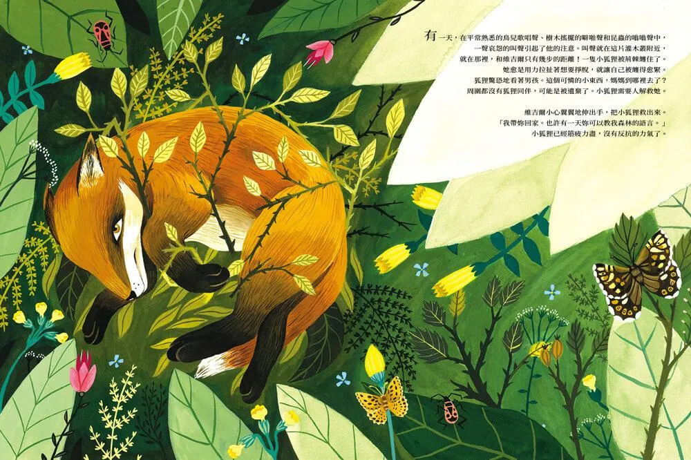 養一隻喜歡的狐狸,或是放她走?
