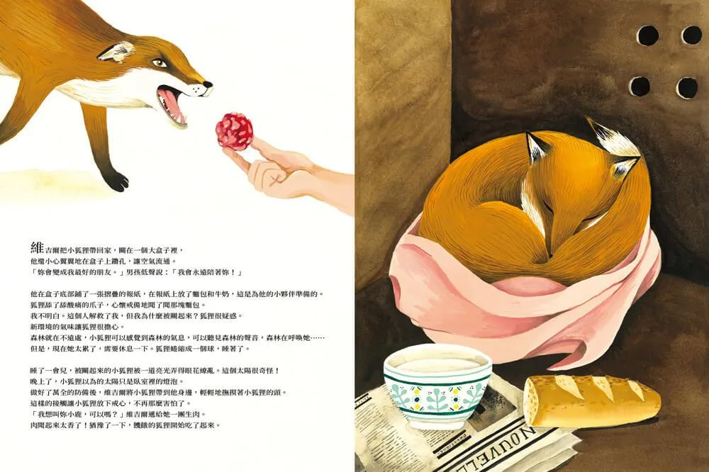 養一隻喜歡的狐狸,或是放她走?