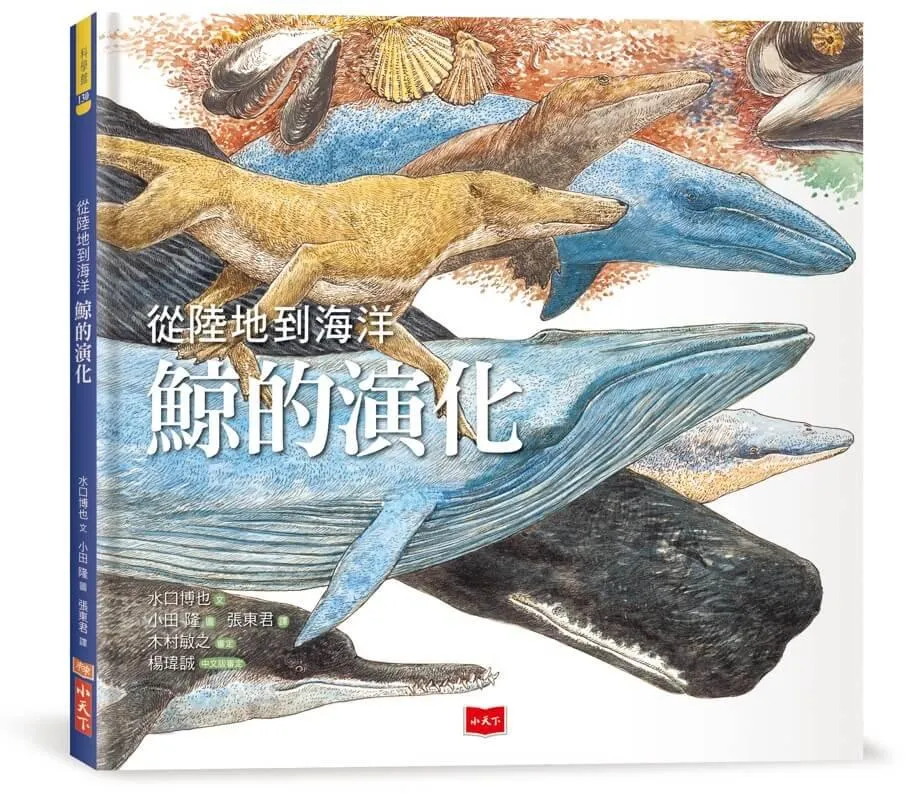 從陸地到海洋  鯨的演化