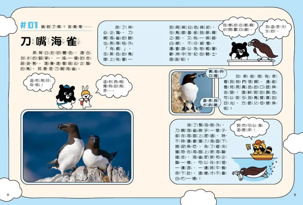 章魚熊的動物觀察筆記:外形篇