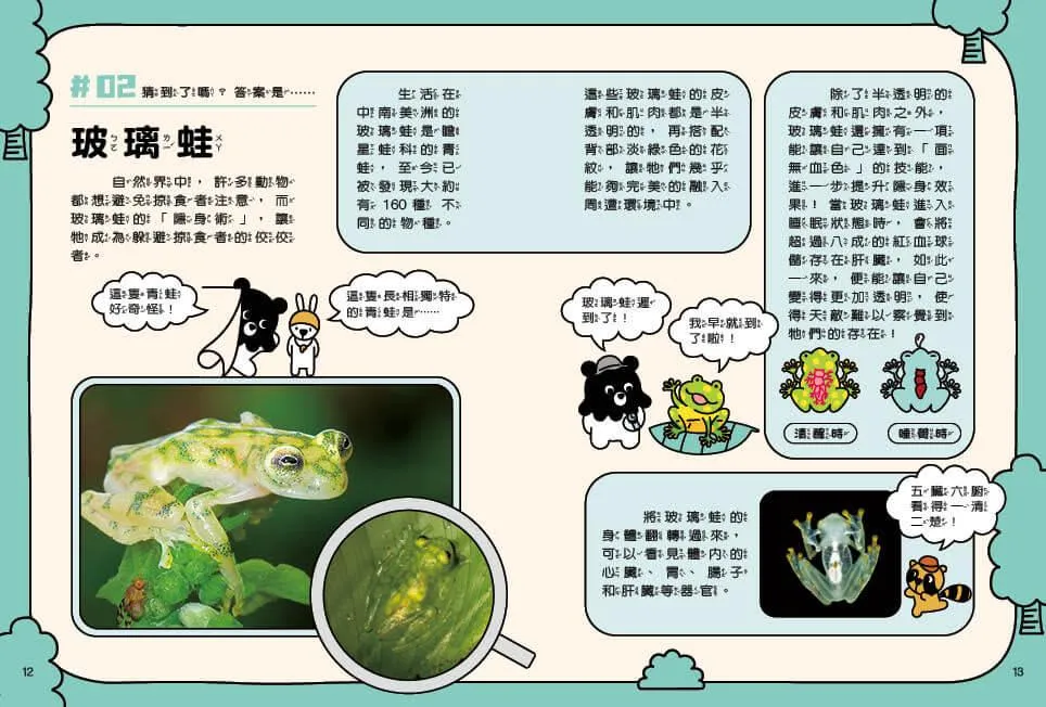 章魚熊的動物觀察筆記:外形篇