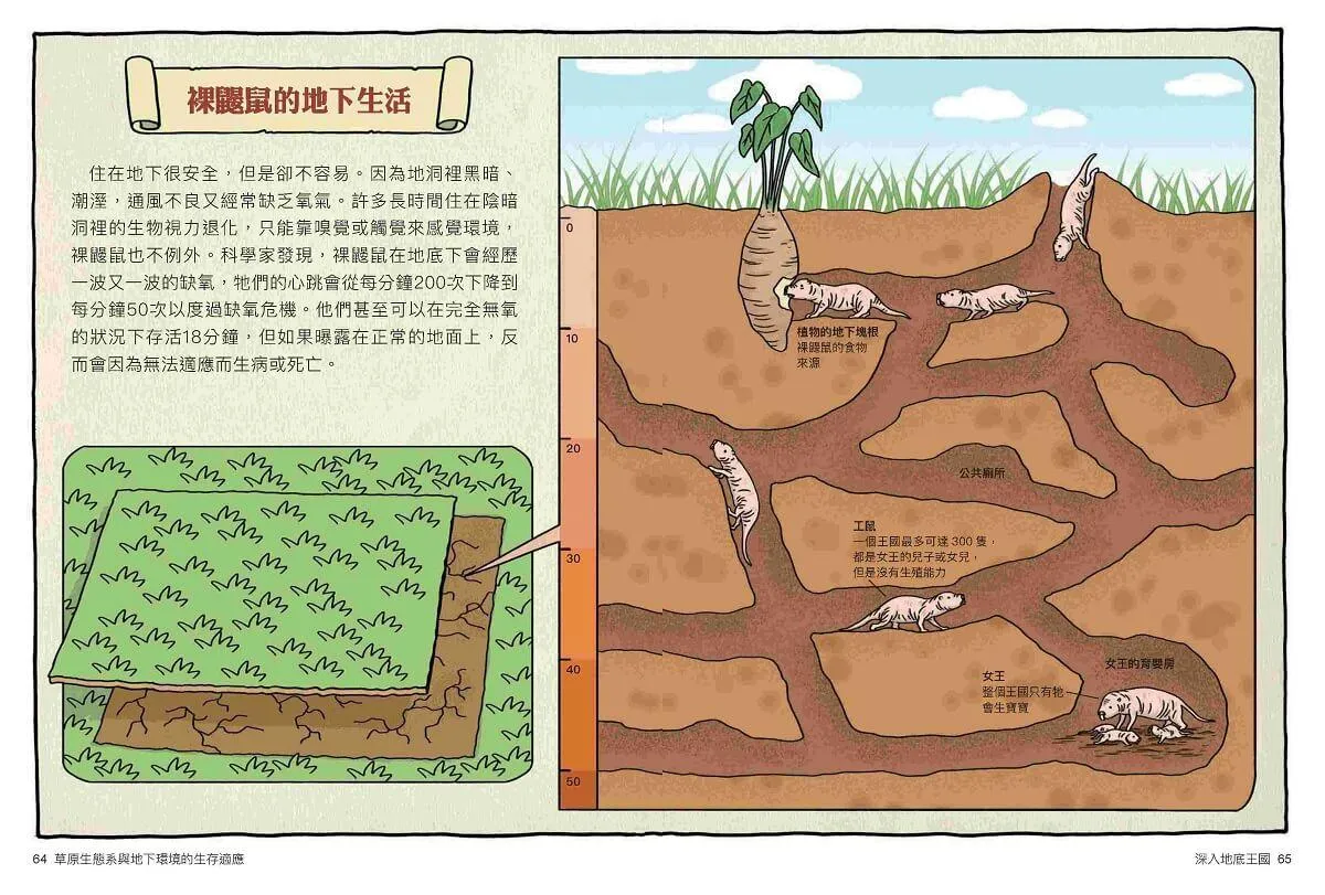 達克比辦案11-15集套書(共五冊)