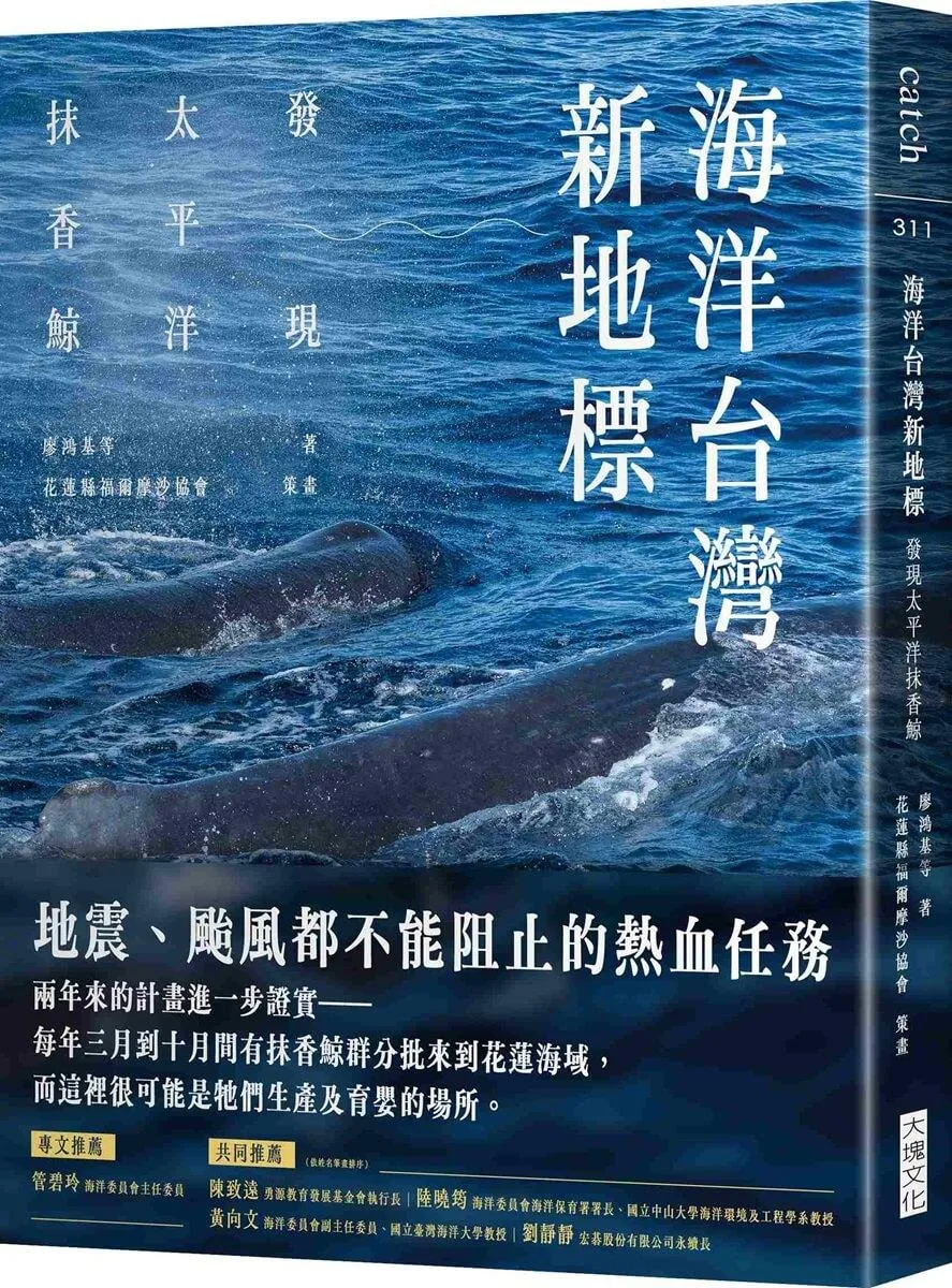 海洋台灣新地標：發現太平洋抹香鯨