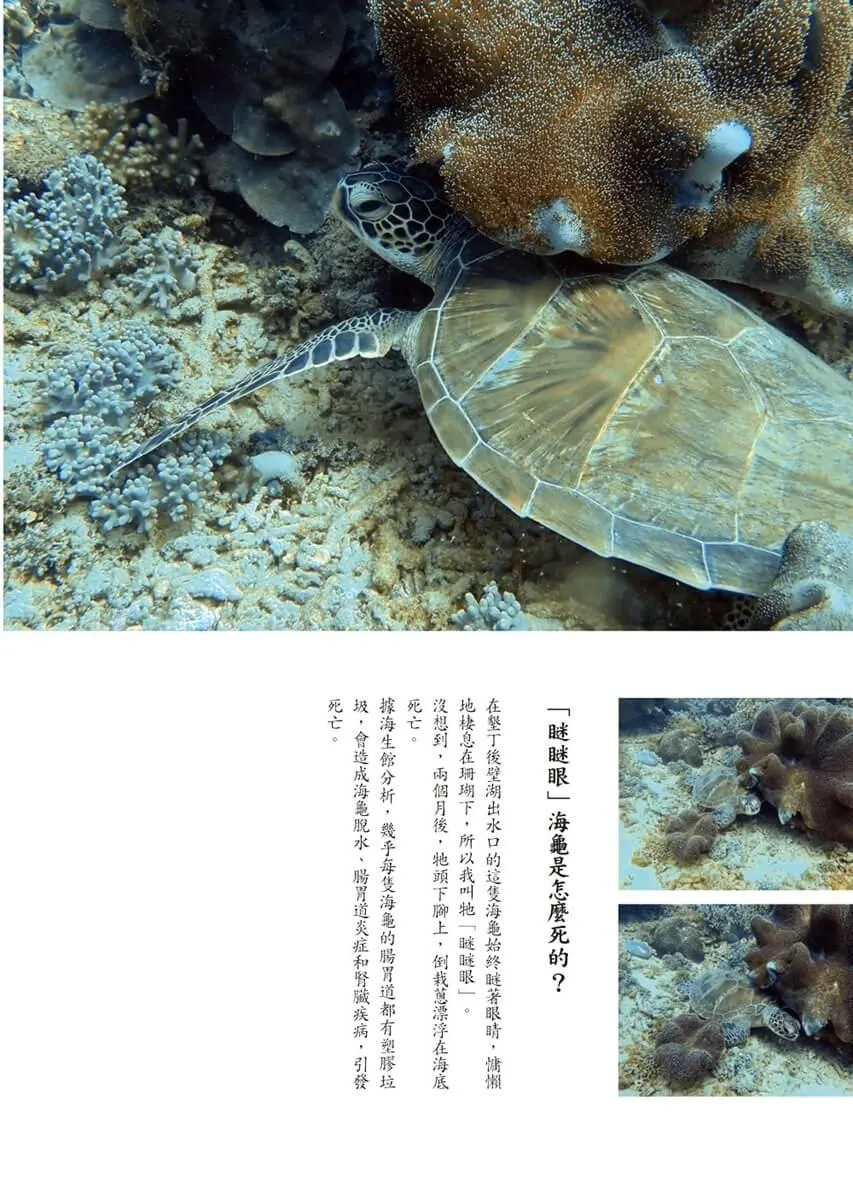 海洋在哭:一位教授的潛水淨海行動
