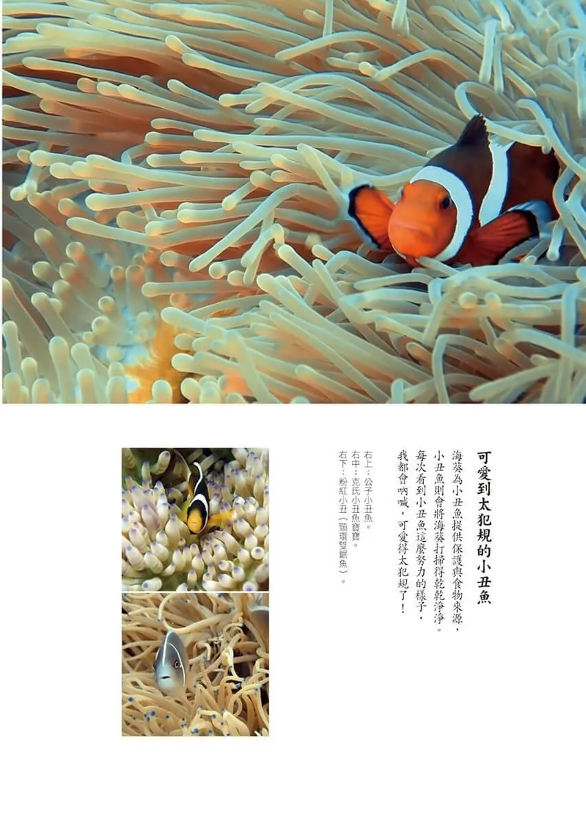 海洋在哭:一位教授的潛水淨海行動