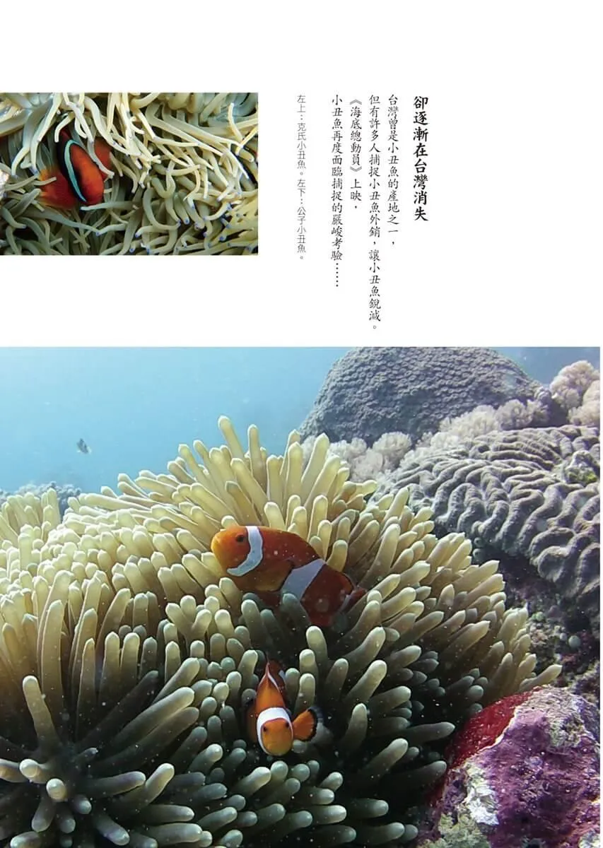 海洋在哭:一位教授的潛水淨海行動
