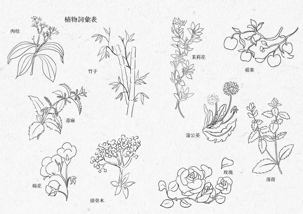 夏日的綠色謎題