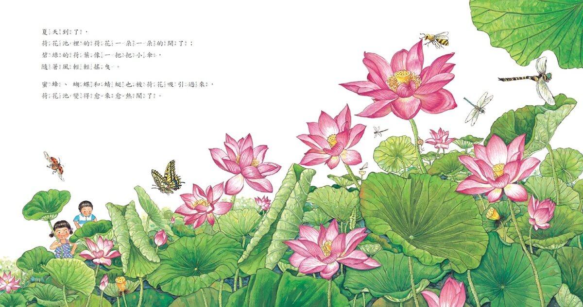 荷花池的生態