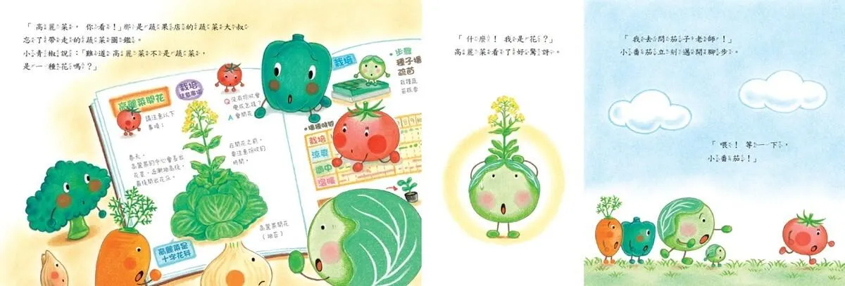 蔬菜學校4:不想開花的高麗菜