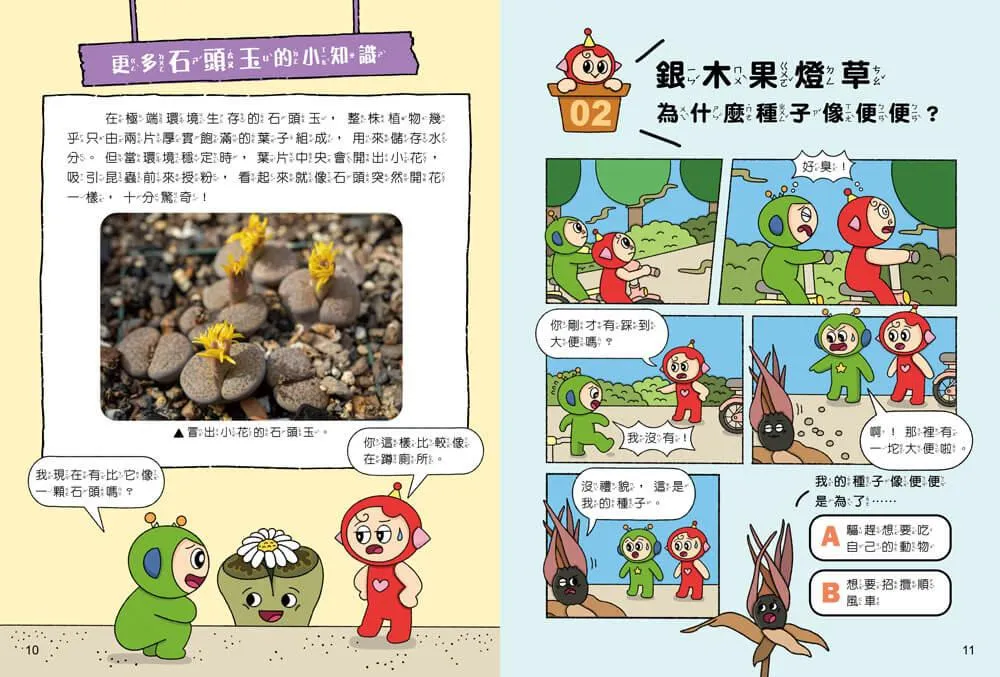 紅豆妮綠豆兵的植物觀察筆記:外形篇