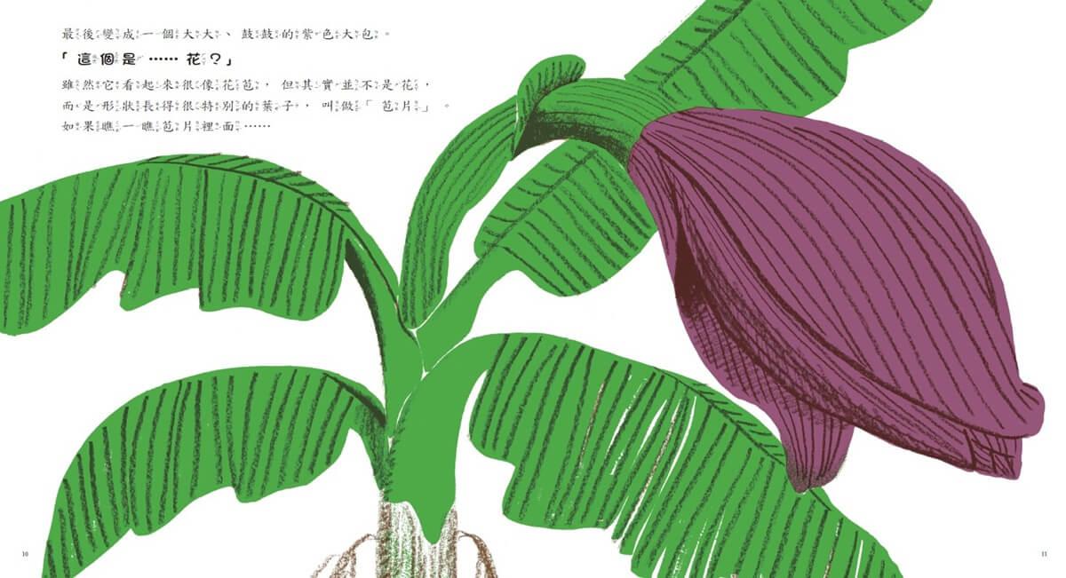 香蕉從哪裡來?(三版)