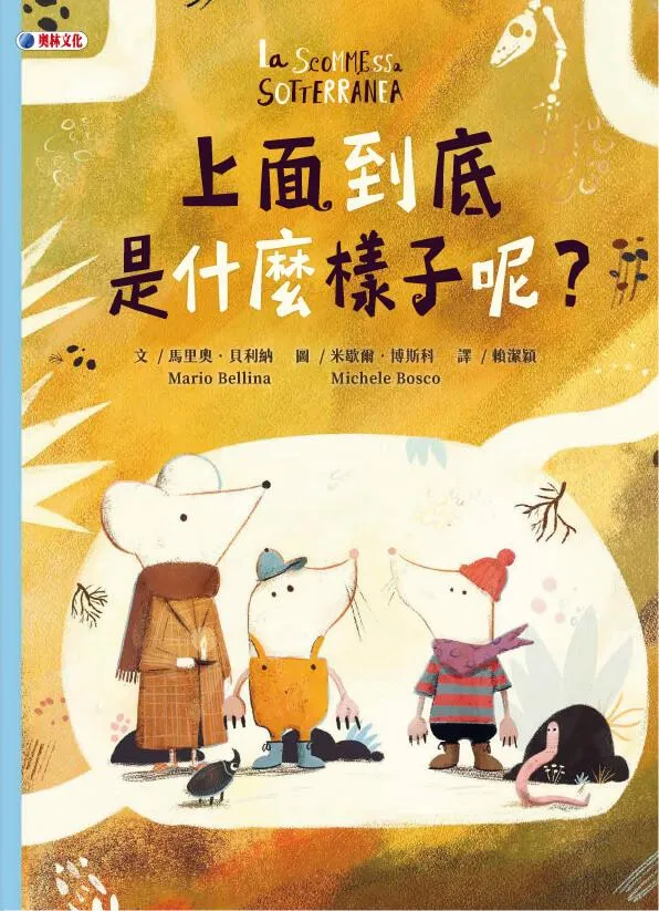 上面到底是什麼樣子呢？